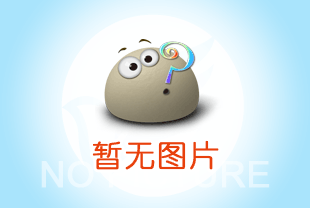 手拉葫蘆罩殼內進入雜物有哪些危害？